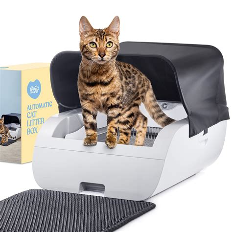 self cleaning litter box india